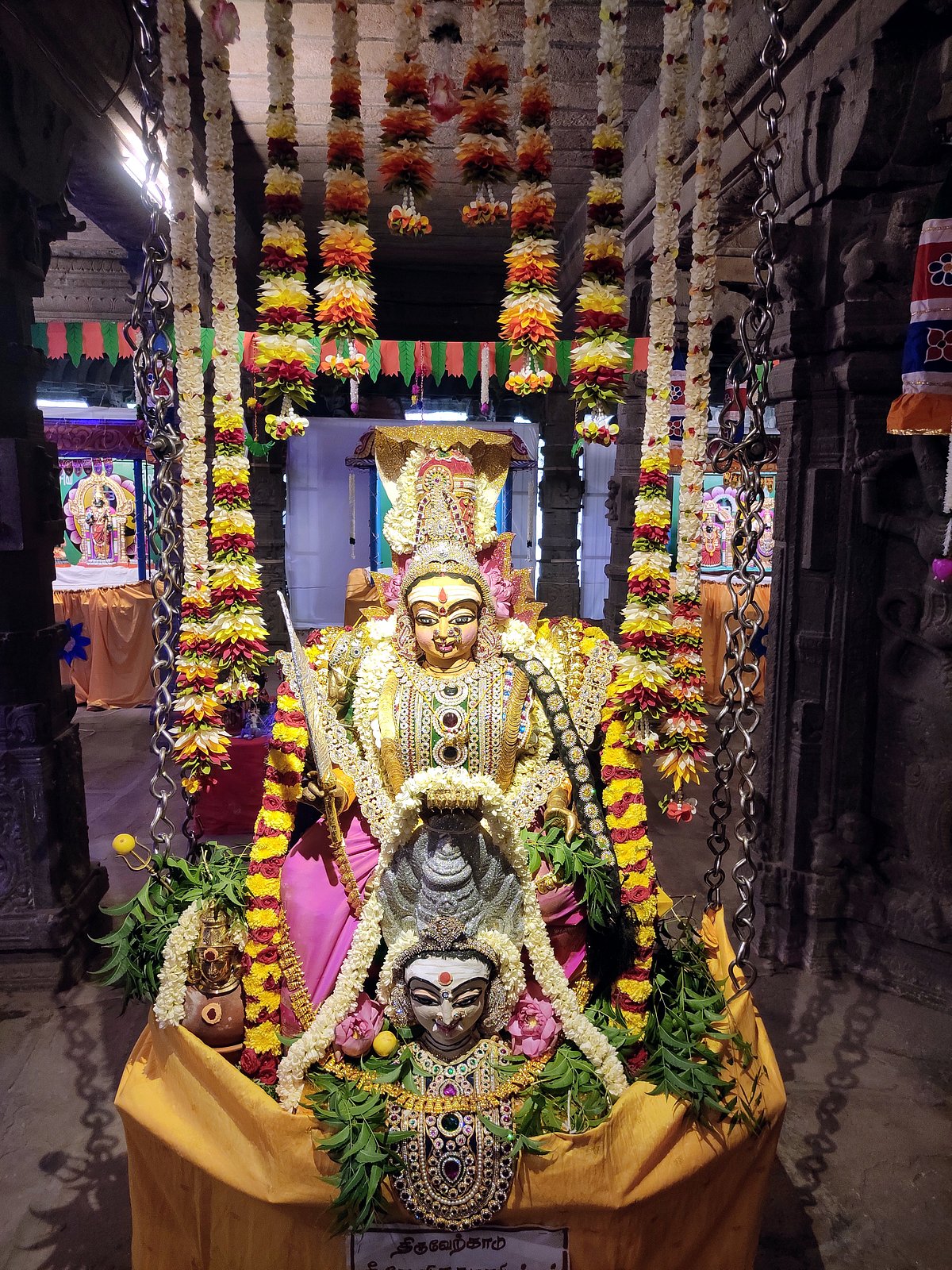 திருநெல்வேலி நெல்லையப்பர்-காந்திமதி அம்பாள் திருக்கோயில் நவராத்திரி விழா கொழு உற்சவம்.!