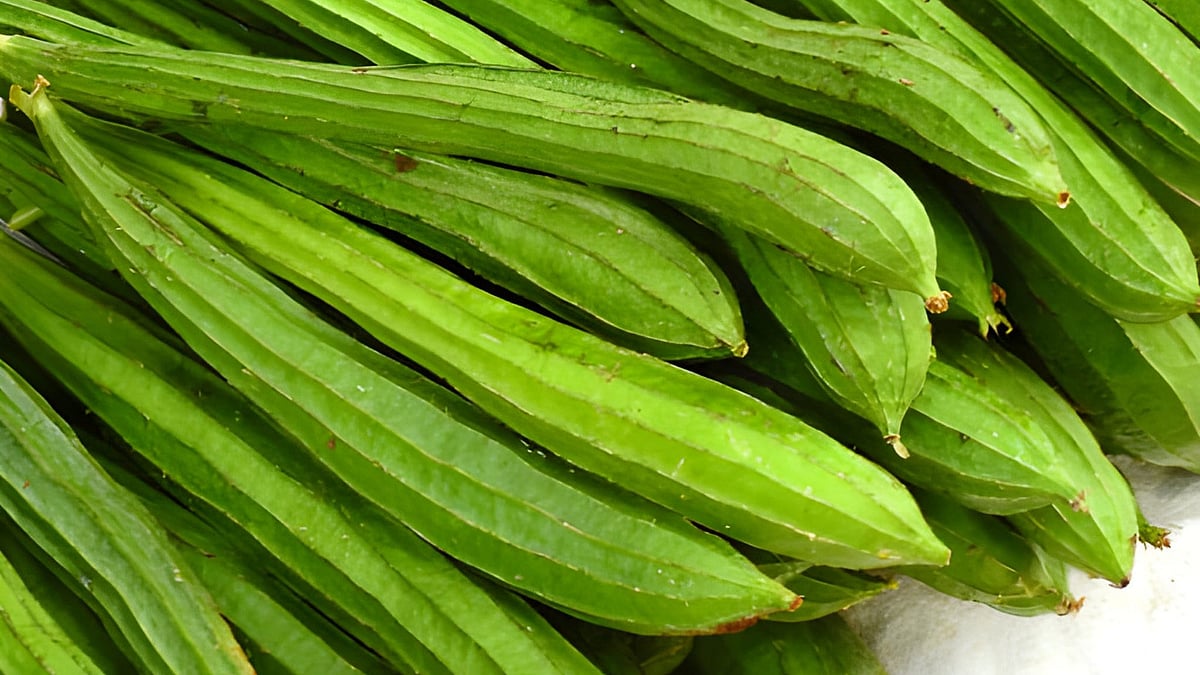 பீர்க்கங்காய்