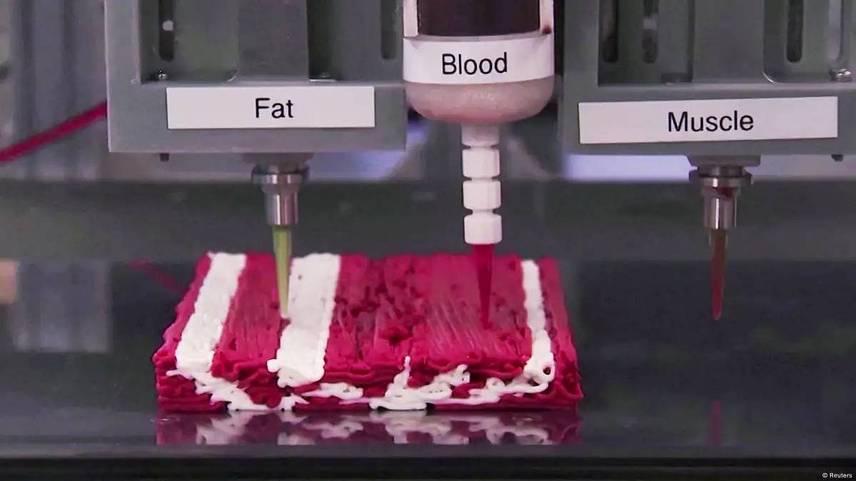 3D Plant - based Meat Technology