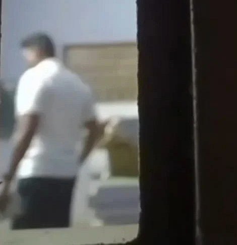 பள்ளி புத்தகங்களை ஏற்றும் வீடியோ
