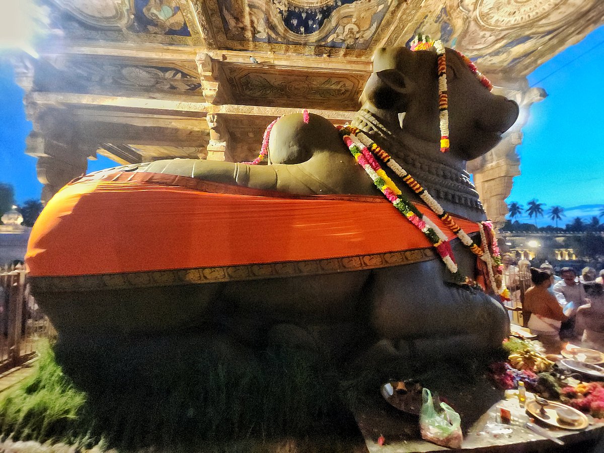 தஞ்சாவூர் பெரிய கோயிலில் சனிப் பிரதோஷ வழிபாடு