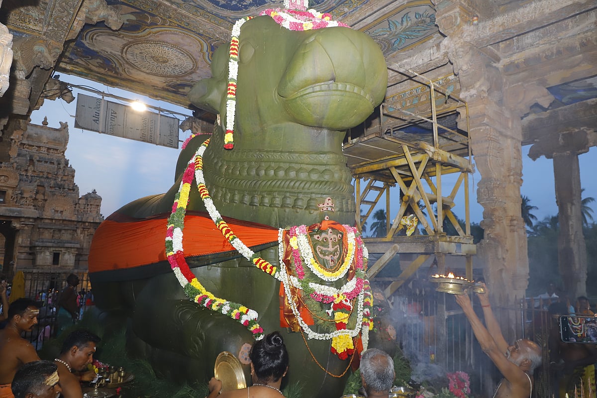 தஞ்சாவூர் பெரிய கோயிலில் சனிப் பிரதோஷ வழிபாடு