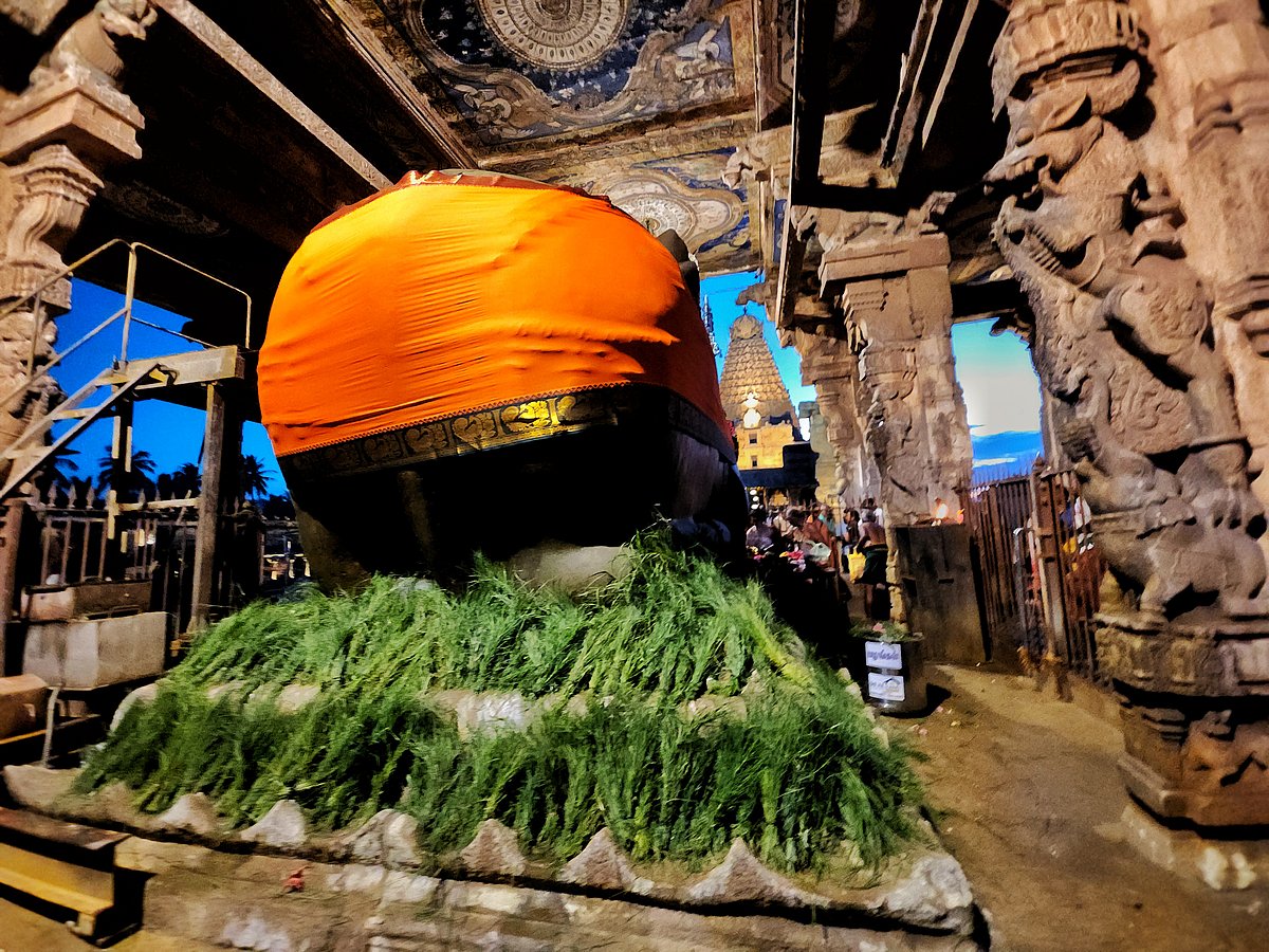 தஞ்சாவூர் பெரிய கோயிலில் சனிப் பிரதோஷ வழிபாடு