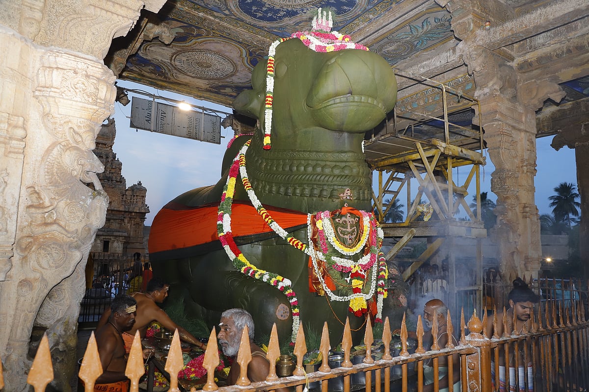 தஞ்சாவூர் பெரிய கோயிலில் சனிப் பிரதோஷ வழிபாடு
