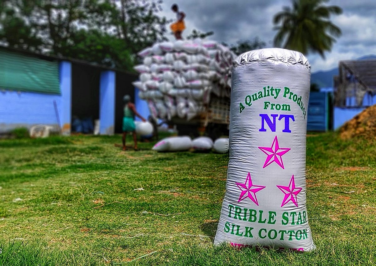 NT மேஜிக்