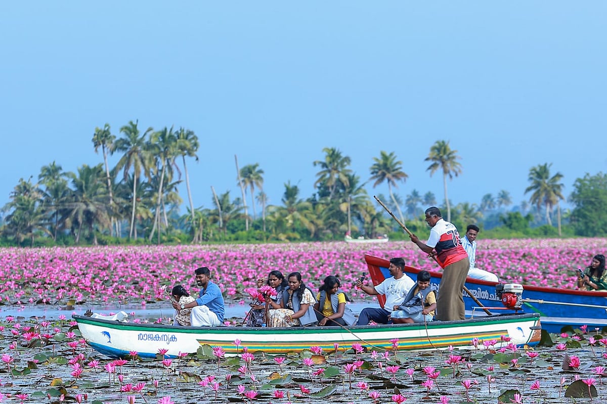 மலரிக்கல்