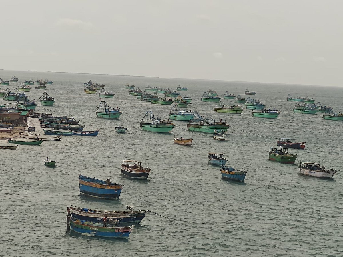 கரையோரம் நிறுத்தப்பட்டுள்ள படகுகள்