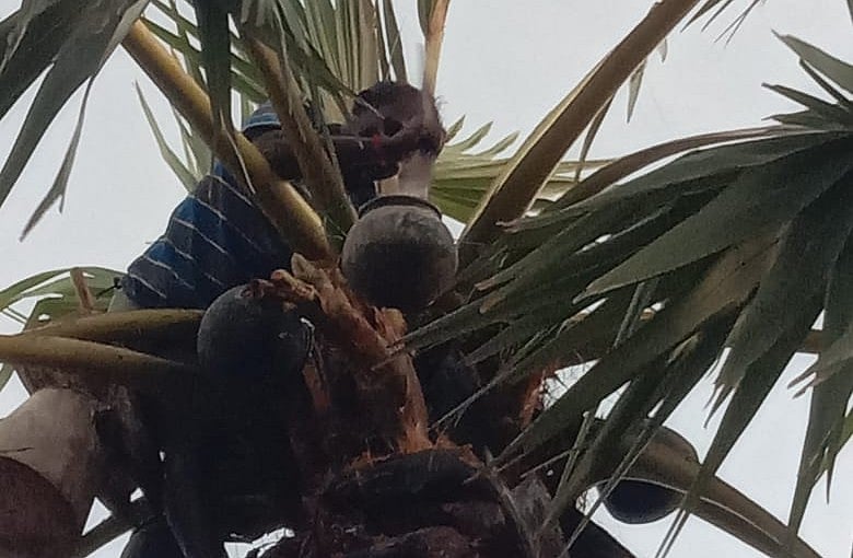 பனை ஏறி சு. ஆறுமுகம்