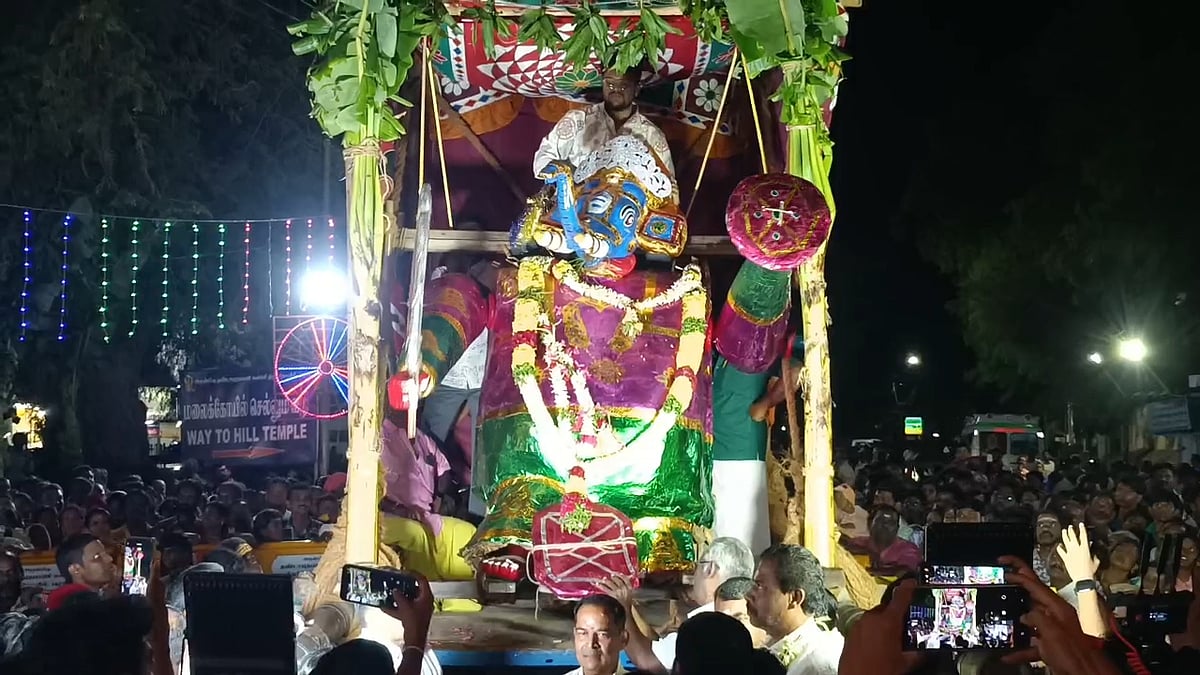பழனி: சூரசம்ஹார தரிசனம்