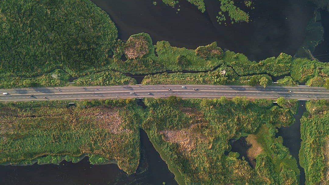 பள்ளிக்கரணை சதுப்பு நிலம்