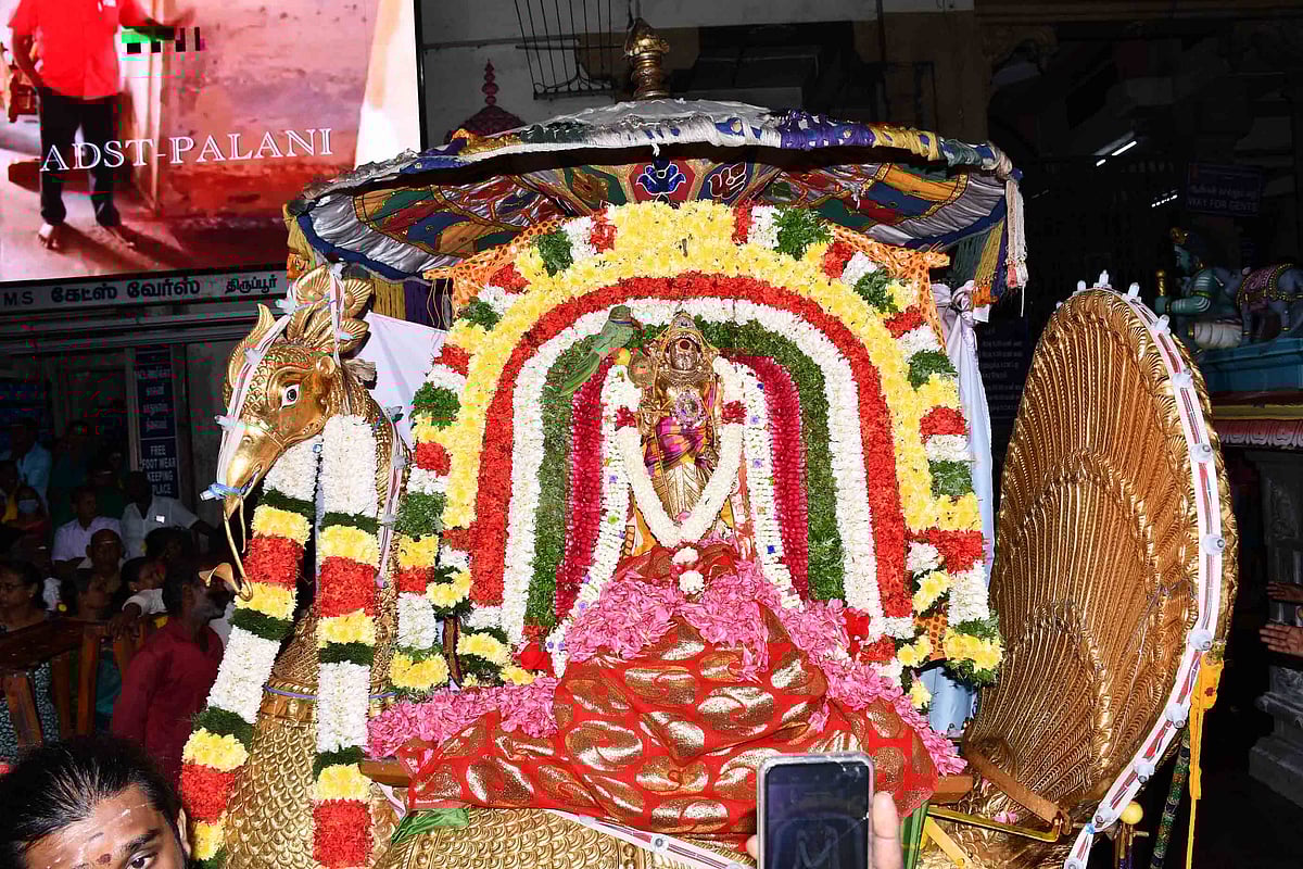 பழனி: சூரசம்ஹார தரிசனம்
