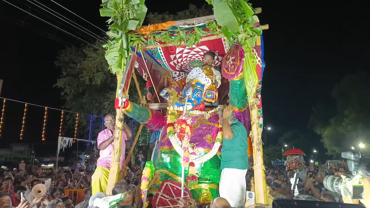 பழனி: சூரசம்ஹார தரிசனம்