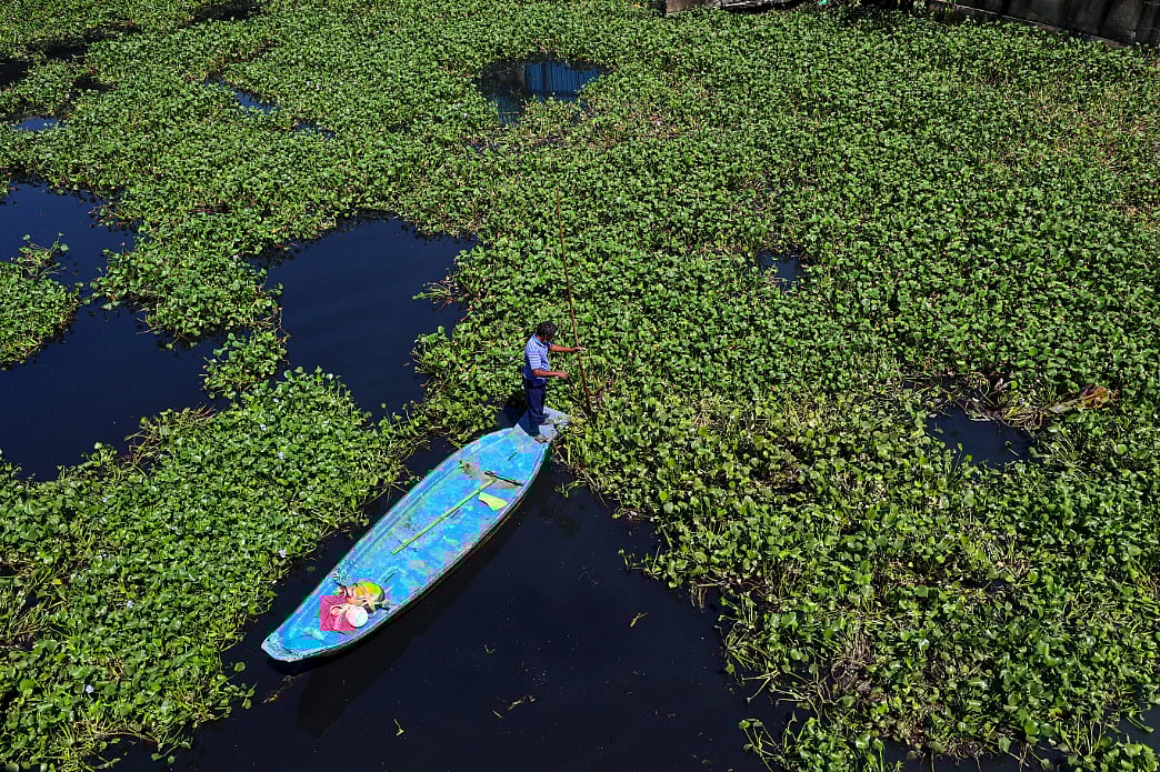 கொடுங்கையூர் கேப்டன் காட்டன் கால்வாயில் ஆகாயத்தாமரை அகற்றும் பணி