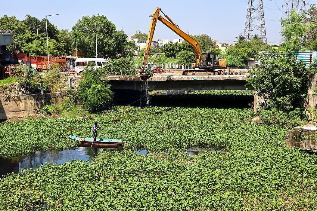 கொடுங்கையூர் கேப்டன் காட்டன் கால்வாயில் ஆகாயத்தாமரை அகற்றும் பணி