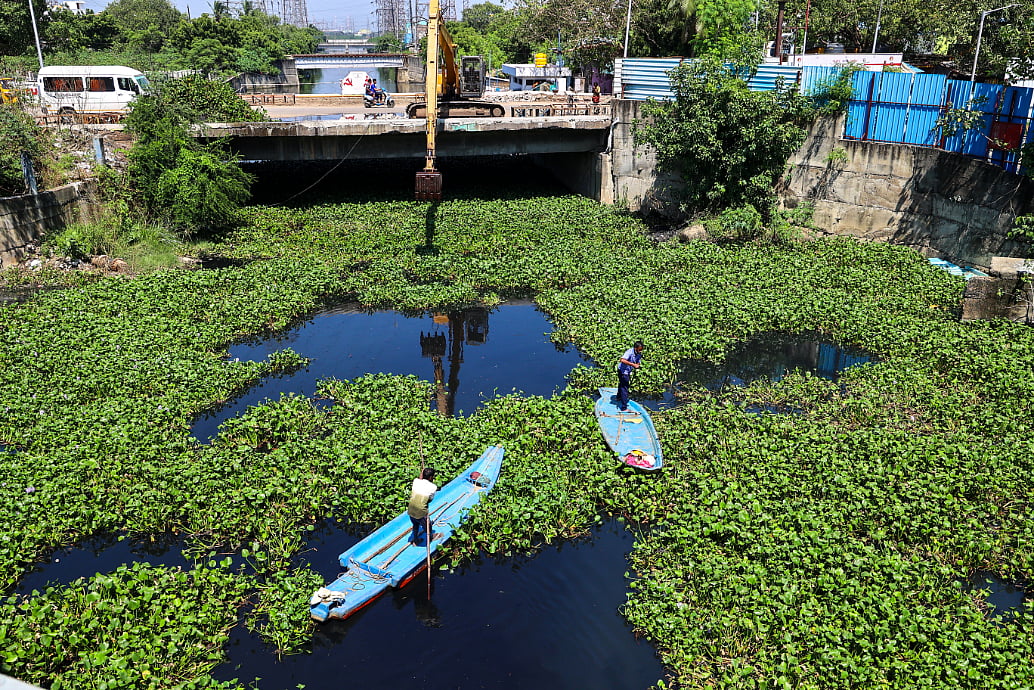 கொடுங்கையூர் கேப்டன் காட்டன் கால்வாயில் ஆகாயத்தாமரை அகற்றும் பணி