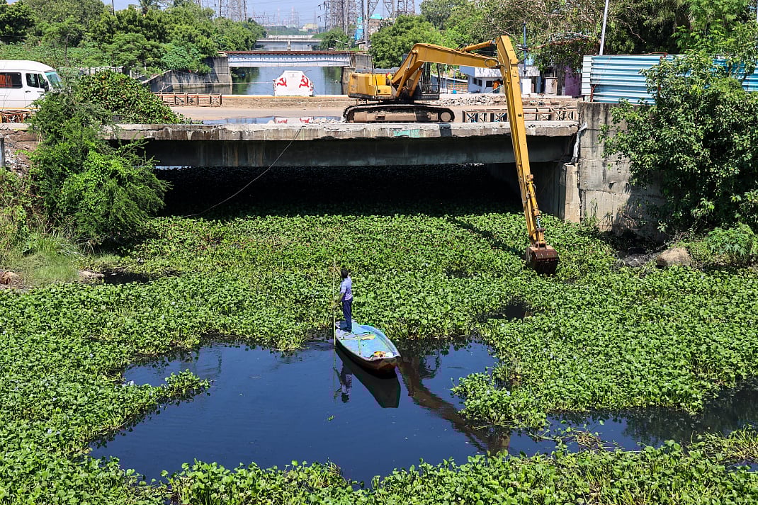 கொடுங்கையூர் கேப்டன் காட்டன் கால்வாயில் ஆகாயத்தாமரை அகற்றும் பணி