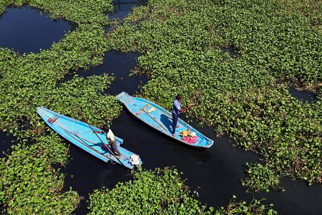 கொடுங்கையூர் கேப்டன் காட்டன் கால்வாயில் ஆகாயத்தாமரை அகற்றும் பணி