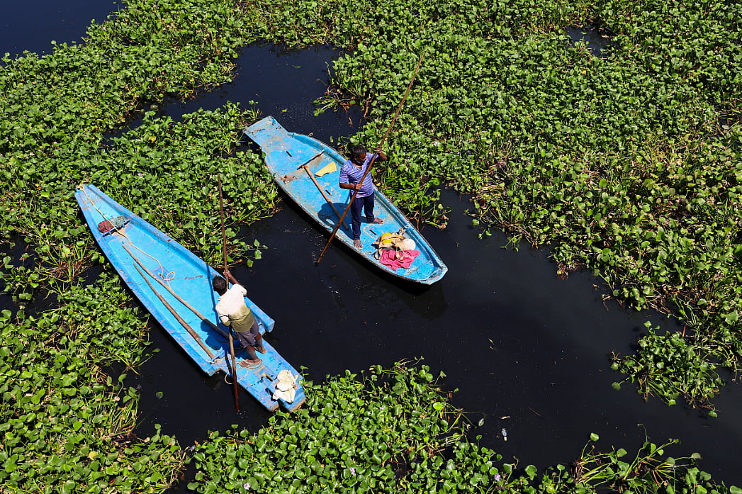 கொடுங்கையூர் கேப்டன் காட்டன் கால்வாயில் ஆகாயத்தாமரை அகற்றும் பணி