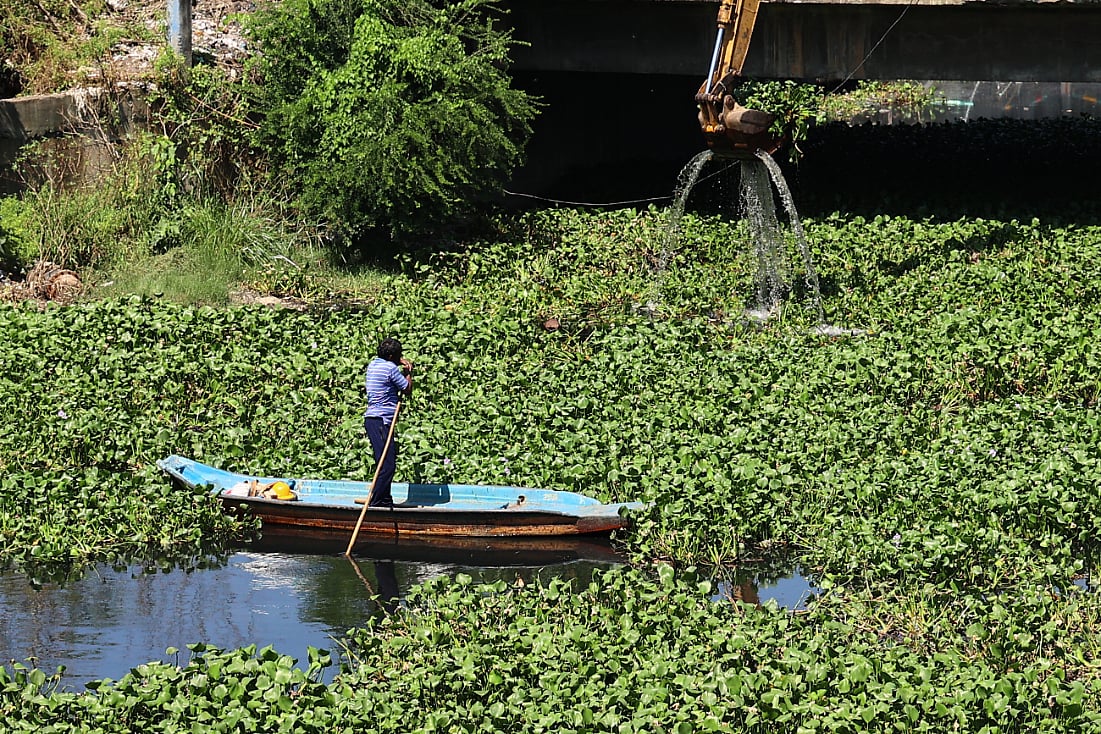 கொடுங்கையூர் கேப்டன் காட்டன் கால்வாயில் ஆகாயத்தாமரை அகற்றும் பணி