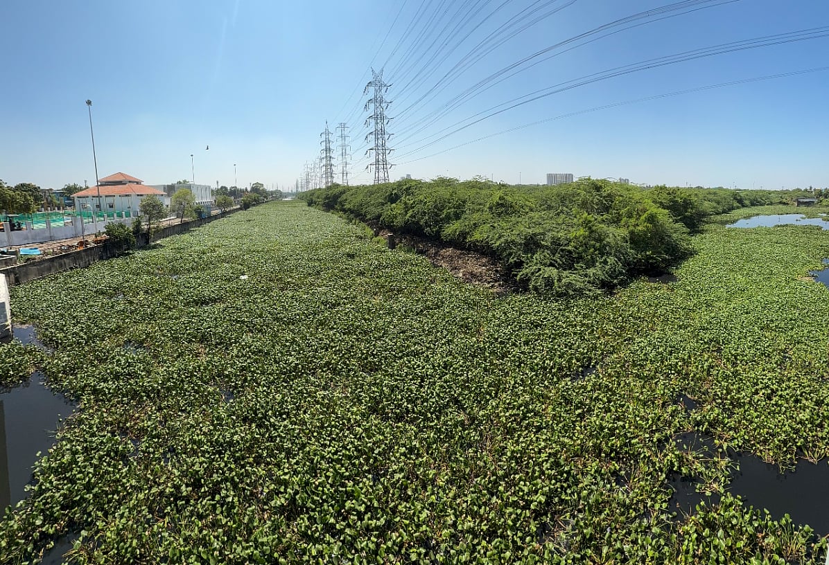 கொடுங்கையூர் கேப்டன் காட்டன் கால்வாயில் ஆகாயத்தாமரை அகற்றும் பணி