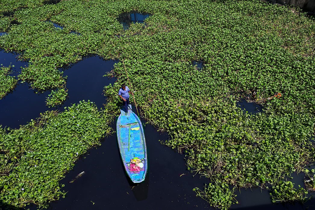 கொடுங்கையூர் கேப்டன் காட்டன் கால்வாயில் ஆகாயத்தாமரை அகற்றும் பணி
