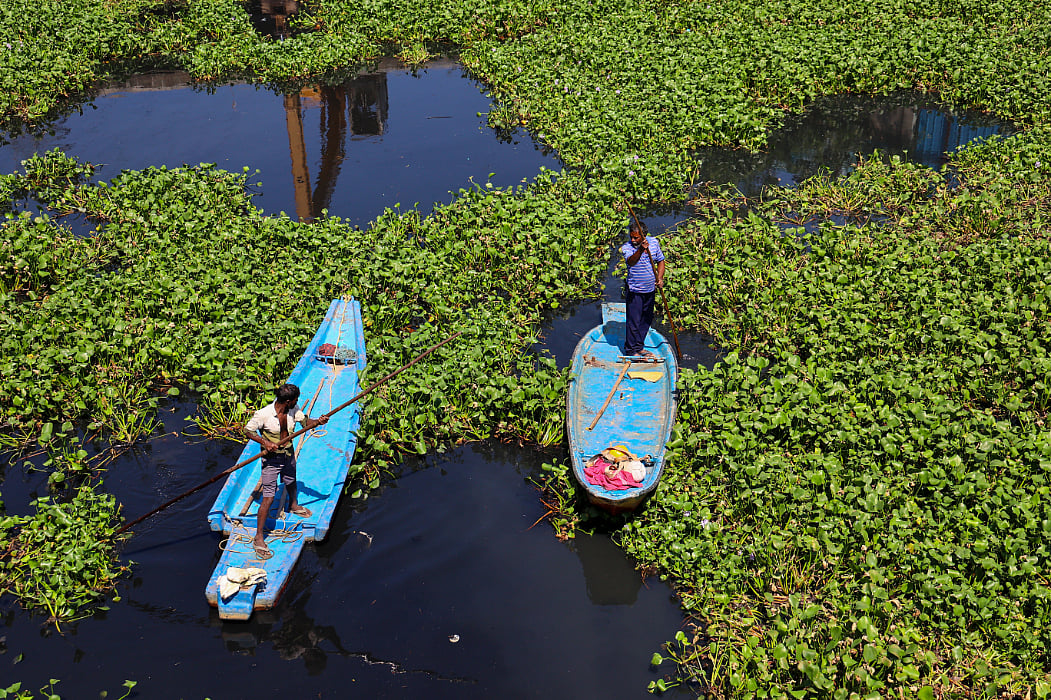 கொடுங்கையூர் கேப்டன் காட்டன் கால்வாயில் ஆகாயத்தாமரை அகற்றும் பணி