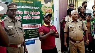 பாம்பு மீட்பாளர் சகாதேவன் 