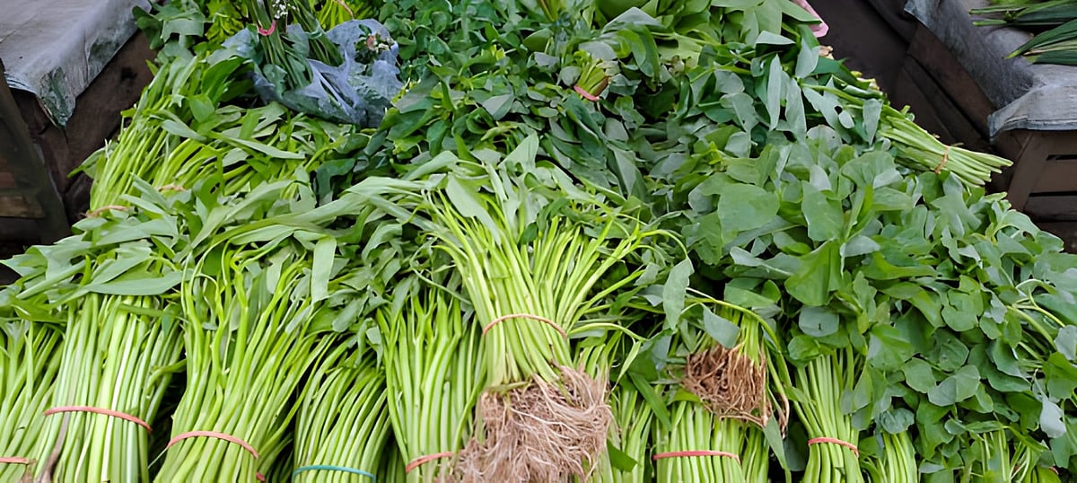 கீரைகளின் மருத்துவ பலன்கள்!