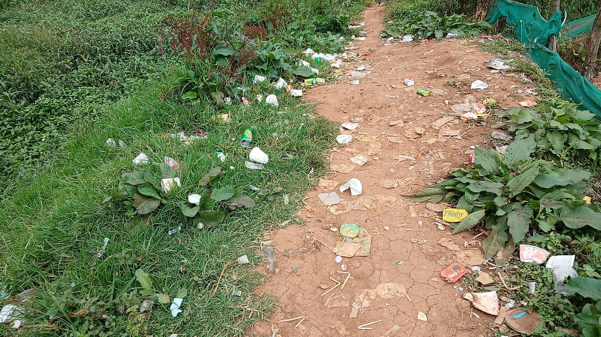 மது பாராக மாறிய நீர்நிலை