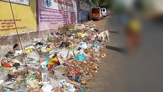 பள்ளிப் பாதையில் குவிந்து கிடக்கும் குப்பைகள்