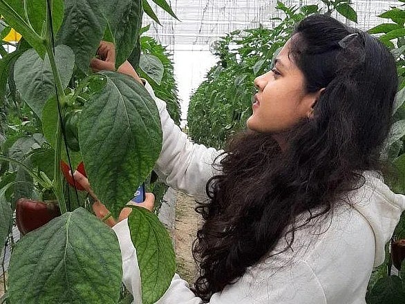 தோட்டத்தில் அனுஷ்கா ஜெய்ஸ்வால்