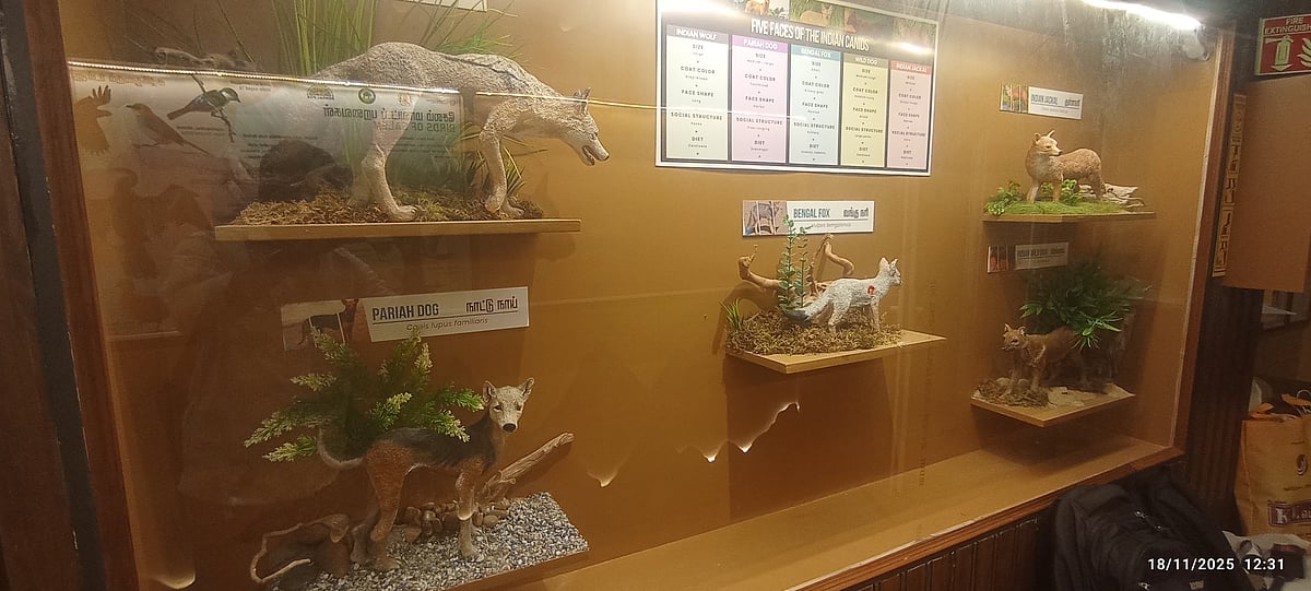 வங்குநரி அறிவியல் வழக்காறு ஆய்வு மையம்