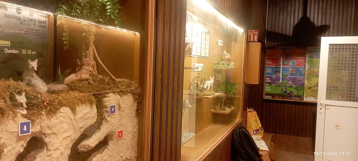 வங்குநரி அறிவியல் வழக்காறு ஆய்வு மையம்