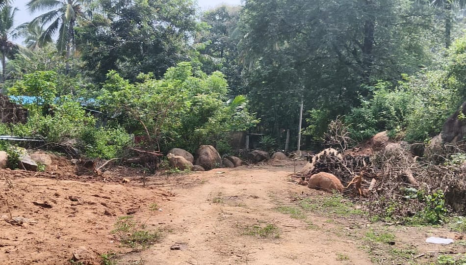 அரசு நிலம்