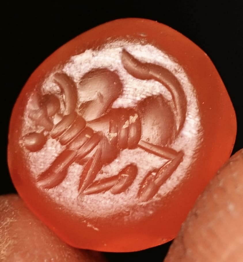 காலையின் முத்திரை பொறிக்கப்பட்ட பவளக்கல்