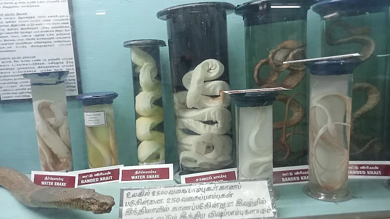 சேலம் அரசு அருங்காட்சியகம்