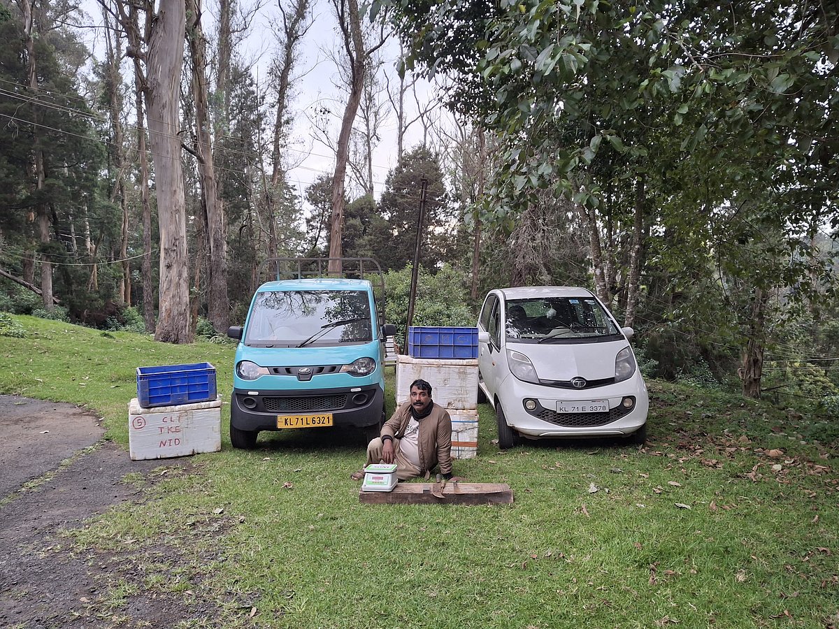 கைதான ரெஜி