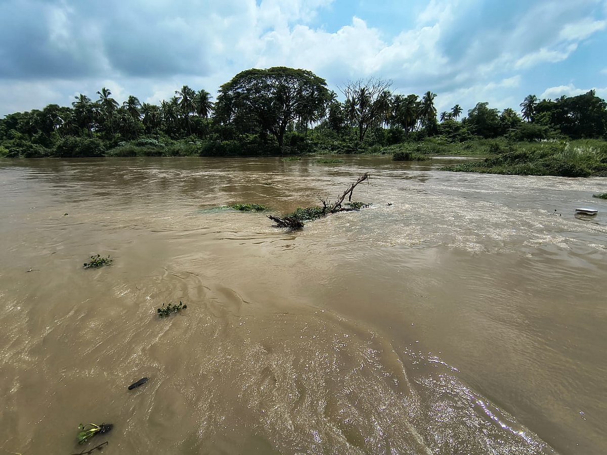 தாமிரபரணியில் வெள்ளப் பெருக்கு