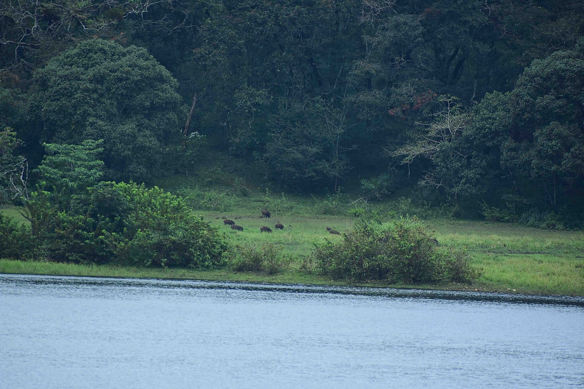 முல்லைப்பெரியாறு அணை