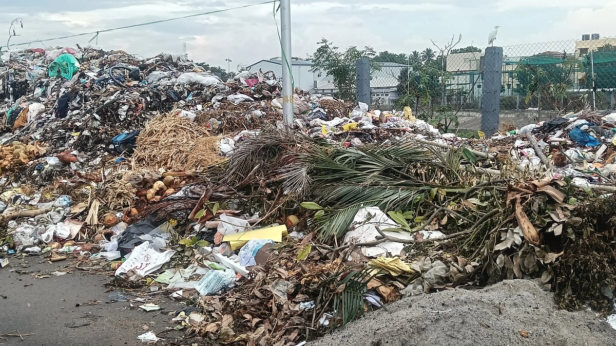 திருப்பூர்: மலை போல குவியும் குப்பைகள்