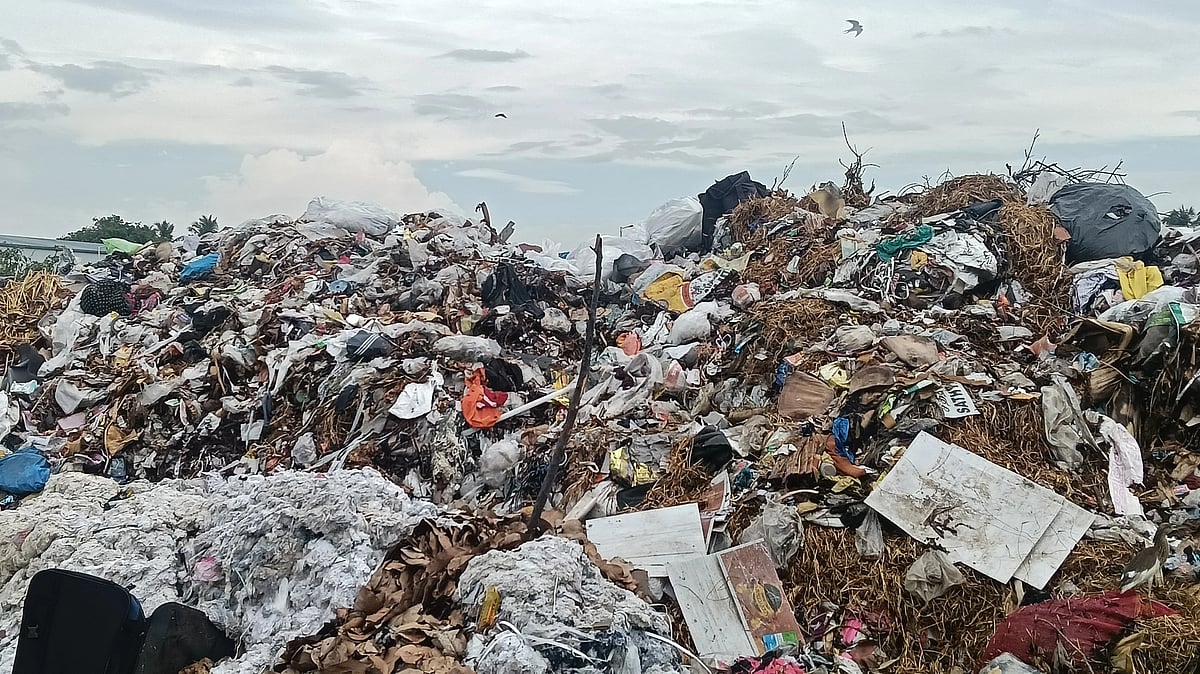 திருப்பூர்: மலை போல குவியும் குப்பைகள்