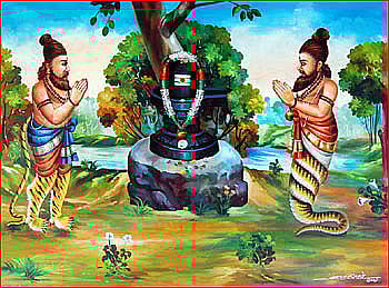 திருவிளமர் பதஞ்சலி மனோகரர்
