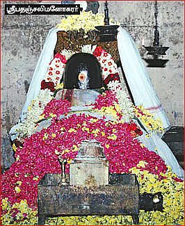 பதஞ்சலி மனோகரர்