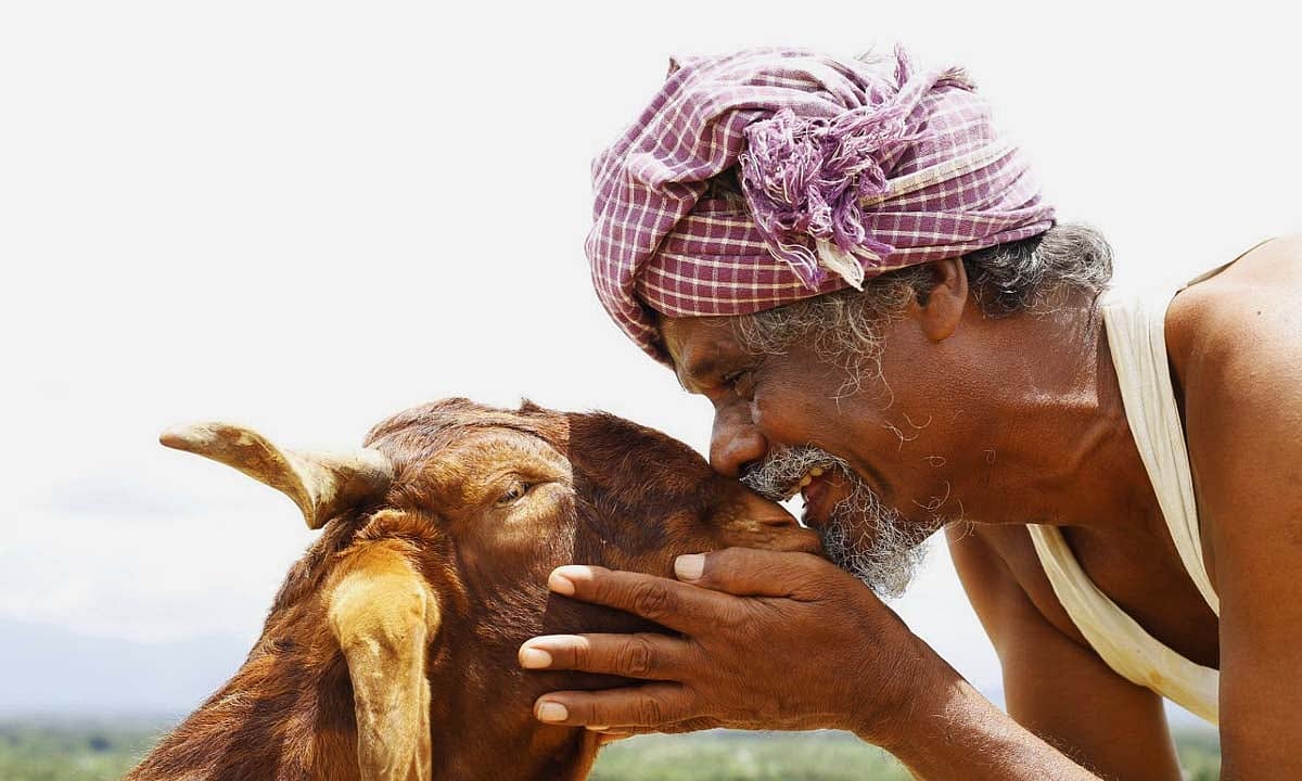 ஒண்டிமுனியும் நல்லபாடனும் விமர்சனம் | Ondimuniyum Nallapadanum Review