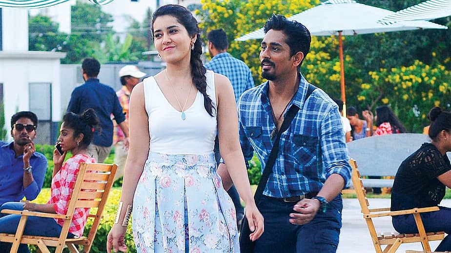 Rowdy & Co Exclusive