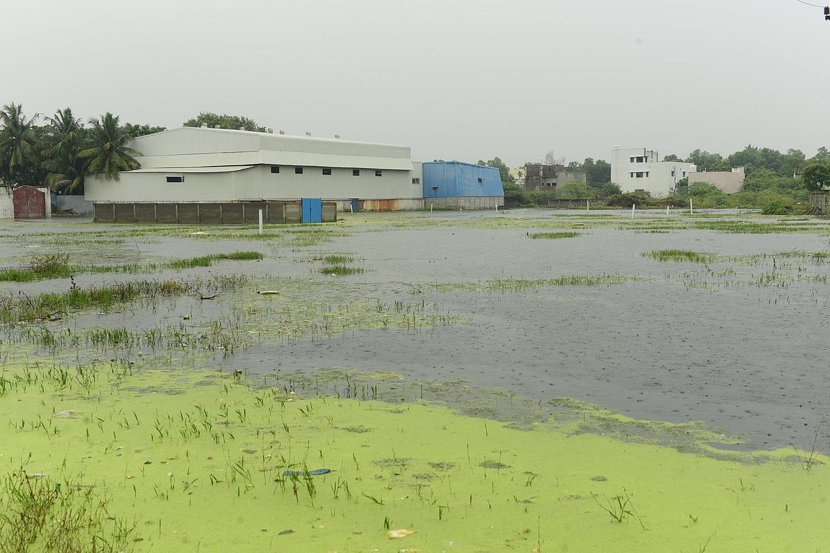 தேங்கி நிற்கும் மழை வெள்ளம்