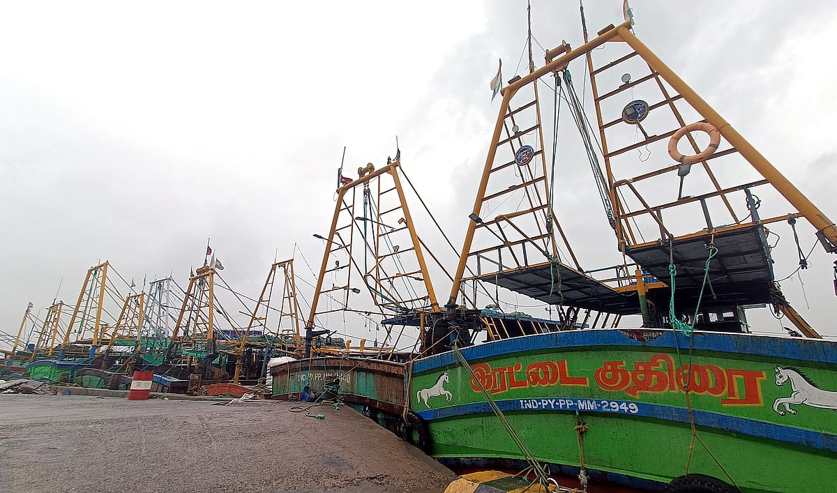 தேங்காய்திட்டு துறைமுகத்தில் நிறுத்தப்பட்டுள்ள படகுகள்