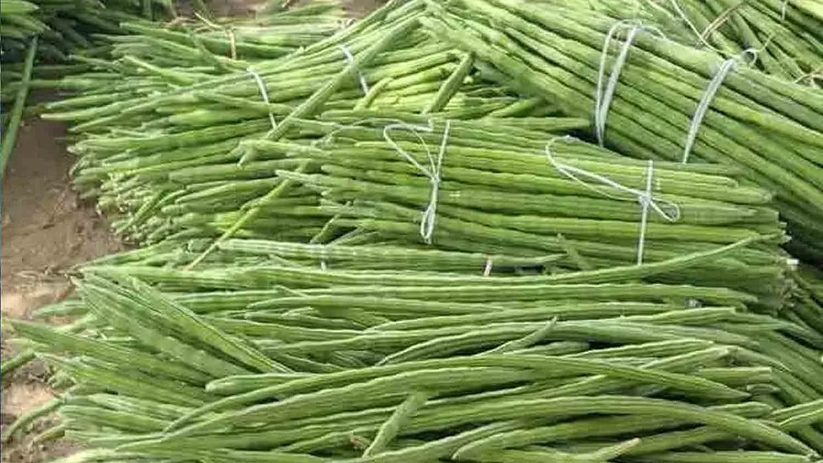 முருங்கைக்காய்