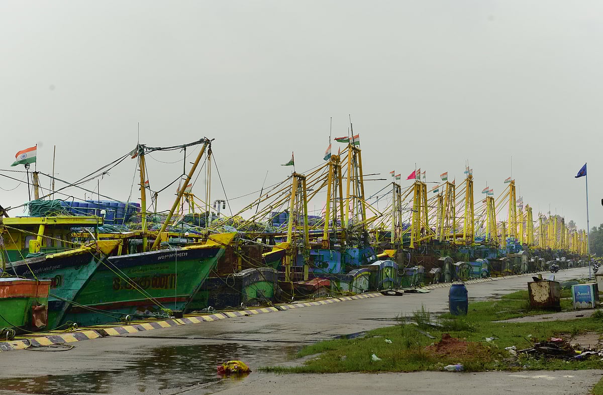 தேங்காய்திட்டு துறைமுகத்தில் நிறுத்தப்பட்டுள்ள படகுகள்