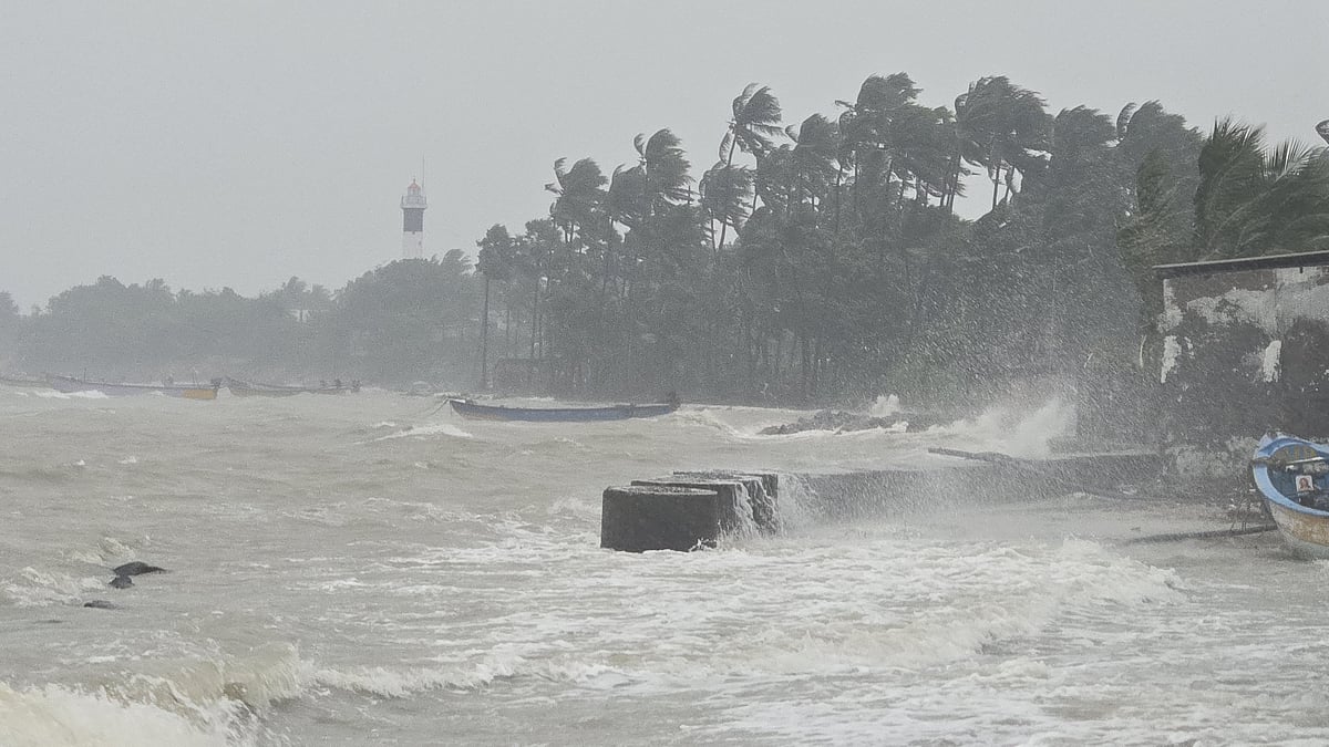 டிட்வா புயல் - கடல் சீற்றம்